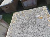 image of grave number 883385